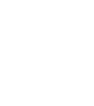 Elloca Drones